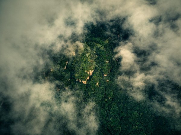 Le coaching pour une recherche d'emploi senior efficace